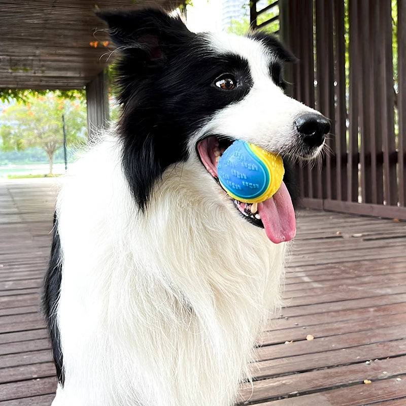 Bolinha Higiene dos Dentes